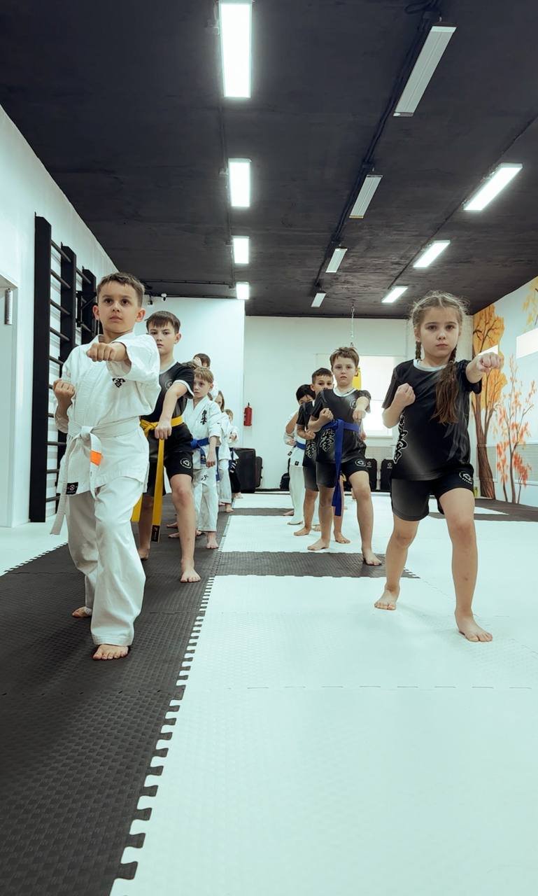 Подготовка к кю тестам  