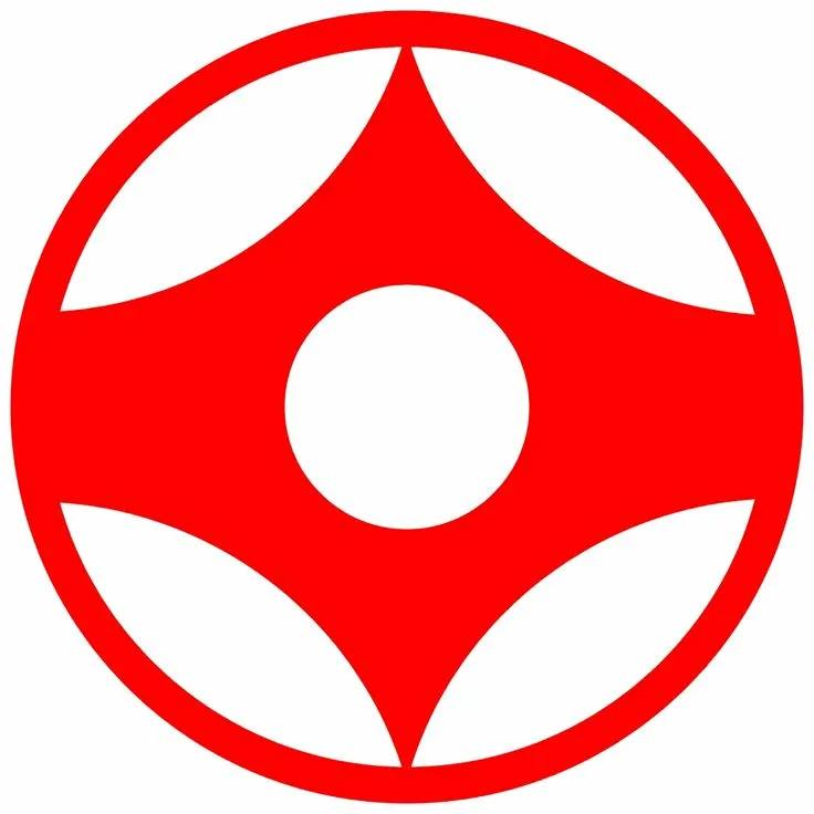 Логотип DzanShin 2